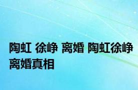 陶虹 徐峥 离婚 陶虹徐峥离婚真相 