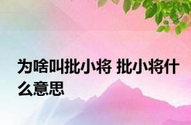 为啥叫批小将 批小将什么意思 