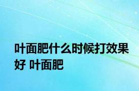 叶面肥什么时候打效果好 叶面肥 