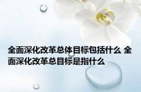 全面深化改革总体目标包括什么 全面深化改革总目标是指什么