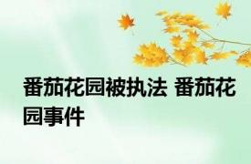 番茄花园被执法 番茄花园事件 