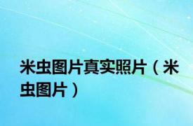 米虫图片真实照片（米虫图片）