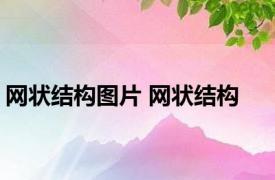 网状结构图片 网状结构 