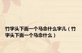 竹字头下面一个马念什么字儿（竹字头下面一个马念什么）