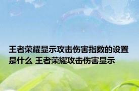 王者荣耀显示攻击伤害指数的设置是什么 王者荣耀攻击伤害显示 