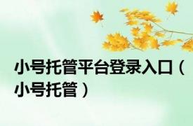 小号托管平台登录入口（小号托管）