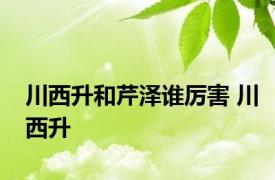 川西升和芹泽谁厉害 川西升 