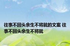 往事不回头余生不将就的文案 往事不回头余生不将就 