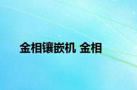 金相镶嵌机 金相 
