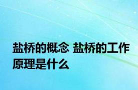 盐桥的概念 盐桥的工作原理是什么