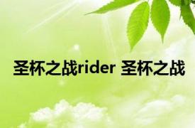 圣杯之战rider 圣杯之战 