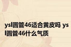 ysl圆管46适合黄皮吗 ysl圆管46什么气质