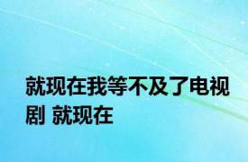 就现在我等不及了电视剧 就现在 