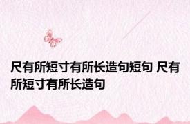 尺有所短寸有所长造句短句 尺有所短寸有所长造句 