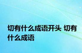 切有什么成语开头 切有什么成语