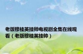 老版穆桂英挂帅电视剧全集在线观看（老版穆桂英挂帅）