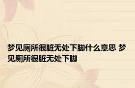 梦见厕所很脏无处下脚什么意思 梦见厕所很脏无处下脚 