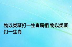 物以类聚打一生肖属相 物以类聚打一生肖 
