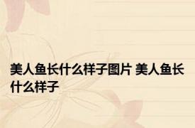 美人鱼长什么样子图片 美人鱼长什么样子 
