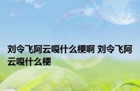 刘令飞阿云嘎什么梗啊 刘令飞阿云嘎什么梗