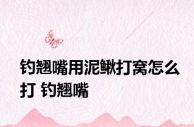 钓翘嘴用泥鳅打窝怎么打 钓翘嘴 