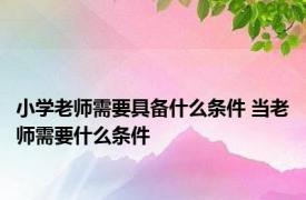 小学老师需要具备什么条件 当老师需要什么条件 
