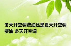 冬天开空调费油还是夏天开空调费油 冬天开空调 