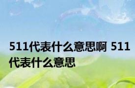 511代表什么意思啊 511代表什么意思