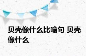 贝壳像什么比喻句 贝壳像什么 