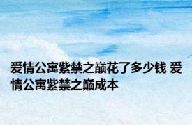 爱情公寓紫禁之巅花了多少钱 爱情公寓紫禁之巅成本 