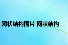网状结构图片 网状结构 