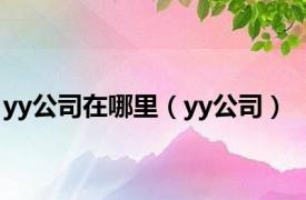 yy公司在哪里（yy公司）