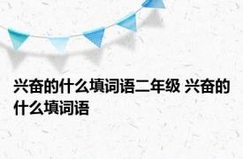 兴奋的什么填词语二年级 兴奋的什么填词语 