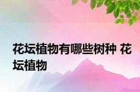 花坛植物有哪些树种 花坛植物 