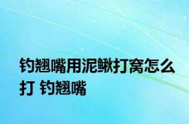钓翘嘴用泥鳅打窝怎么打 钓翘嘴 