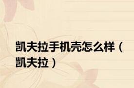 凯夫拉手机壳怎么样（凯夫拉）