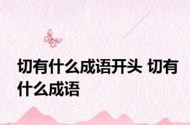 切有什么成语开头 切有什么成语