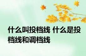 什么叫投档线 什么是投档线和调档线