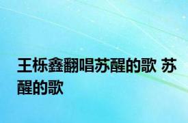 王栎鑫翻唱苏醒的歌 苏醒的歌 