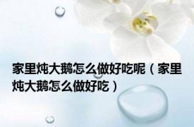 家里炖大鹅怎么做好吃呢（家里炖大鹅怎么做好吃）