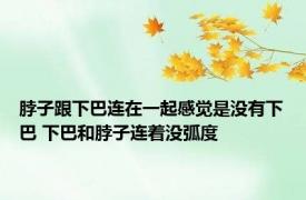 脖子跟下巴连在一起感觉是没有下巴 下巴和脖子连着没弧度 