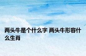 两头牛是个什么字 两头牛形容什么生肖 