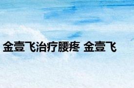 金壹飞治疗腰疼 金壹飞 