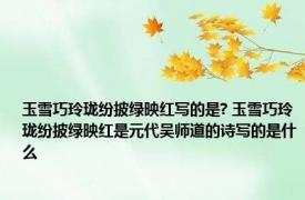 玉雪巧玲珑纷披绿映红写的是? 玉雪巧玲珑纷披绿映红是元代吴师道的诗写的是什么