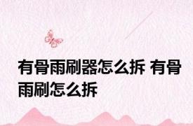 有骨雨刷器怎么拆 有骨雨刷怎么拆 