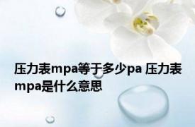 压力表mpa等于多少pa 压力表mpa是什么意思 