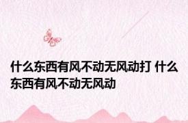 什么东西有风不动无风动打 什么东西有风不动无风动