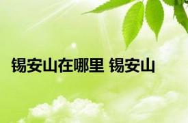 锡安山在哪里 锡安山 