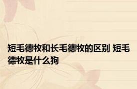 短毛德牧和长毛德牧的区别 短毛德牧是什么狗