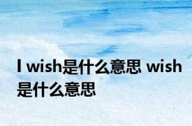 l wish是什么意思 wish是什么意思